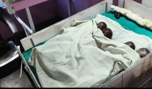 Joy Resounded : सीतापुर में महिला ने एक साथ चार बच्चों को दिया जन्म, तीन बेटे और एक बेटी की किलकारी से गूंजी खुशियां ?