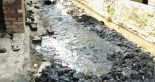 Cleanliness Drive : सेवा संकल्प अभियान में बच्चों ने दिखाई प्रतिभा, चित्रकला भाषण प्रतियोगिता संग गांवों में चला स्वच्छता अभियान