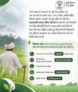 Benefit of the claim : धान की फसल में नुकसान होने पर 72 घंटे के भीतर दें सूचना, फसल बीमा योजना के तहत मिलेगा क्लेम का लाभ