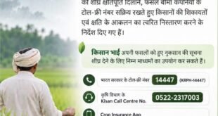 Benefit of the claim : धान की फसल में नुकसान होने पर 72 घंटे के भीतर दें सूचना, फसल बीमा योजना के तहत मिलेगा क्लेम का लाभ