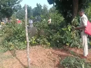 Caused a stir / Sparked panic : फसल बचाने के लिए लगाए बिजली के तार की चपेट में आया हाथी का बच्चा, मौत से मचा हड़कंप ?