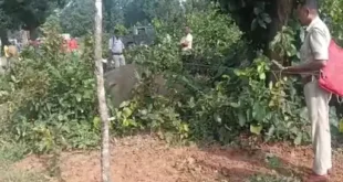 Caused a stir / Sparked panic : फसल बचाने के लिए लगाए बिजली के तार की चपेट में आया हाथी का बच्चा, मौत से मचा हड़कंप ?