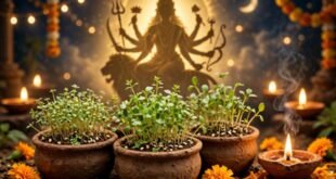 Force and Energy : नवरात्र स्पेशल : मां चंद्रघंटा से जुड़ा है ये चमत्कारी औषधीय पौधा, देता है बल और ऊर्जा ?
