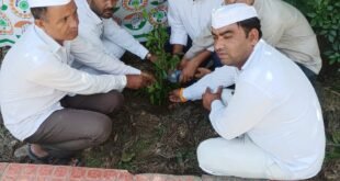 Tribute : गांधी जयंती पर सेवादल पदाधिकारियों ने किया पौधारोपण, महात्मा गांधी को अर्पित किए श्रद्धासुमन