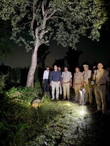 Disposal : हाईटेंशन लाइन की चपेट में आने से तेंदुए की मौत, वन विभाग ने पोस्टमार्टम के बाद शव का किया निस्तारण ?
