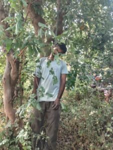 Created a stir : जंगल में लकड़ी लेने गए 45 वर्षीय व्यक्ति का पेड़ से लटका मिला शव, गांव में मचा हड़कंप