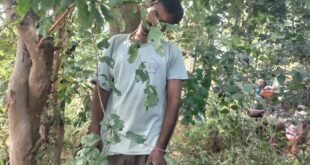 Created a stir : जंगल में लकड़ी लेने गए 45 वर्षीय व्यक्ति का पेड़ से लटका मिला शव, गांव में मचा हड़कंप